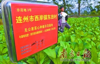 富硒产品概念（富硒产品）-硒宝网