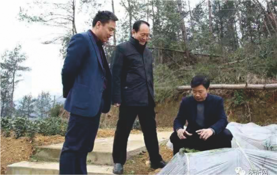 富硒产品调查(富硒产品的调查和分析)-硒宝网