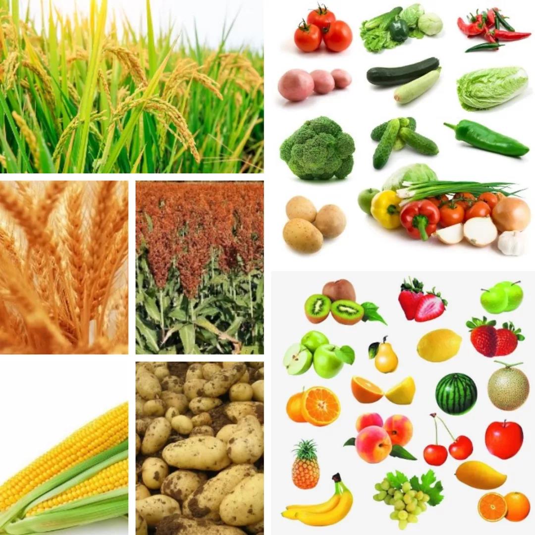 富硒产品企业(富硒企业产品介绍)-硒宝网