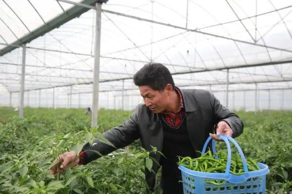 富硒食品产品(食品富硒产品有哪些)-硒宝网