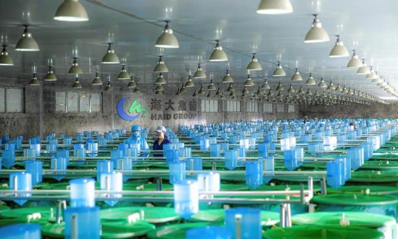 富硒食品产品(食品富硒产品有哪些)-硒宝网