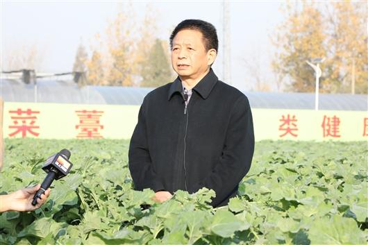 富硒产品概念（概念富硒产品是什么）-硒宝网