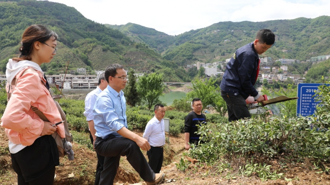 富硒产品培养（富硒土地怎么培养）-硒宝网