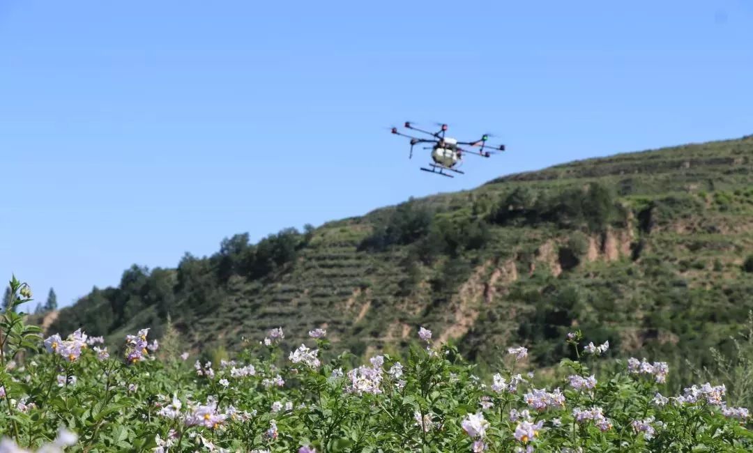 新卲富硒产品（富硒产品的作用）-硒宝网