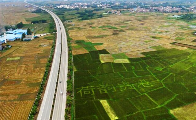 湛江富硒产品(湛江富硒产品介绍)-硒宝网