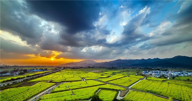 湛江富硒产品(湛江富硒产品介绍)-硒宝网