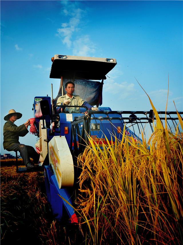 湛江富硒产品(湛江富硒产品介绍)-硒宝网