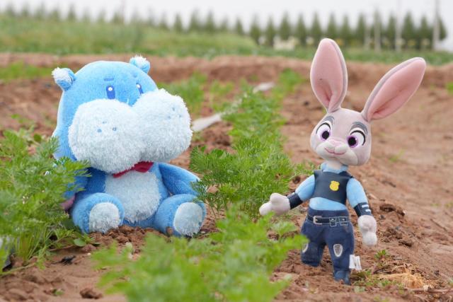 有机富硒产品（富有机硒食品）-硒宝网