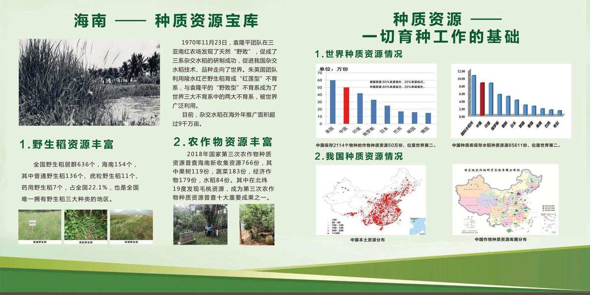 富硒 农产品(农用富硒)-硒宝网