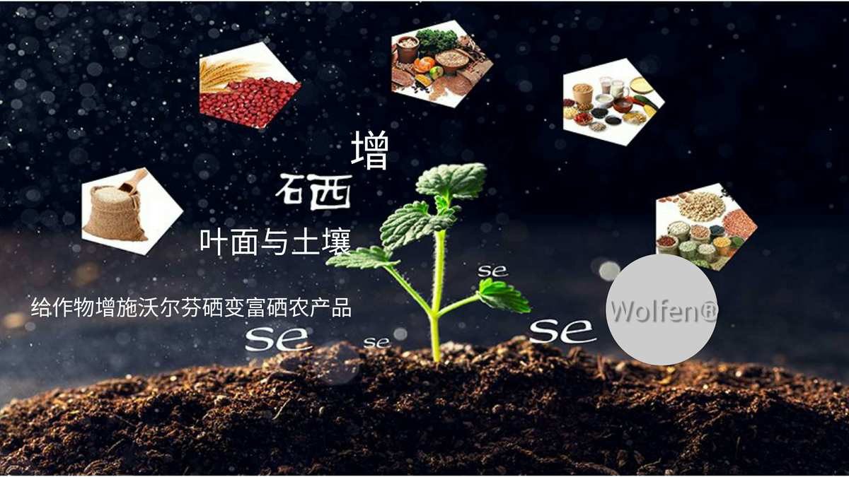 富硒食物产品（食物富硒产品有哪些）-硒宝网