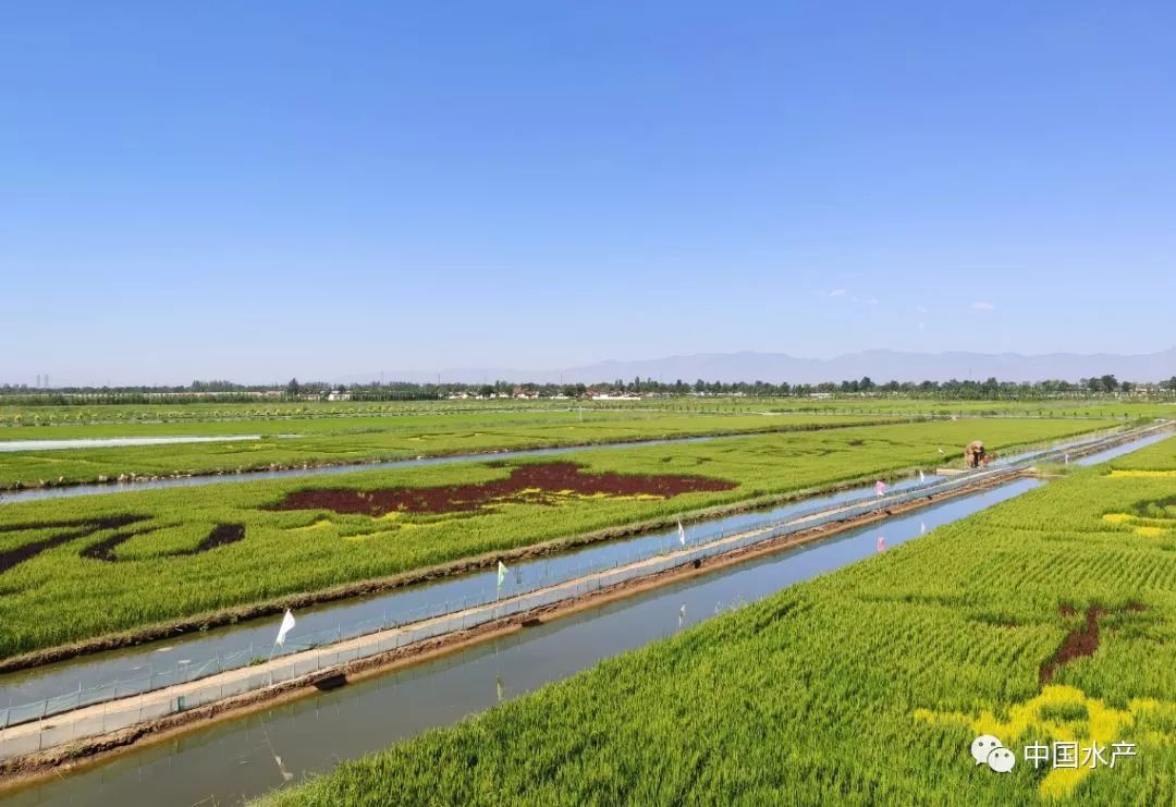 富硒米主产品(富硒米)-硒宝网