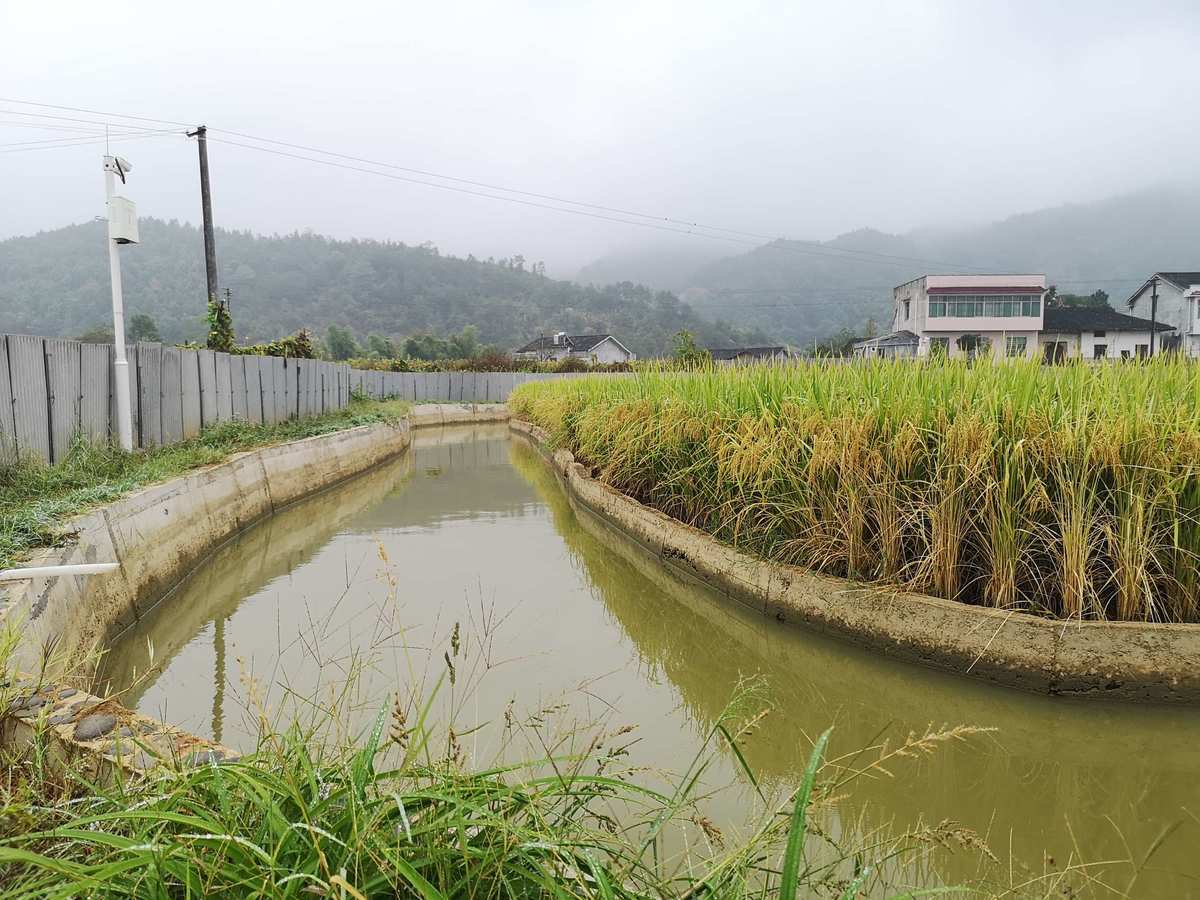 富硒米主产品(富硒米)-硒宝网