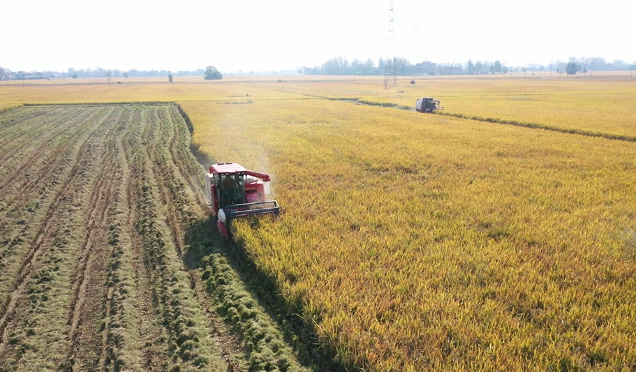 安微富硒产品(安徽富硒茶业有限公司)-硒宝网