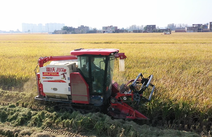 安微富硒产品(安徽富硒茶业有限公司)-硒宝网