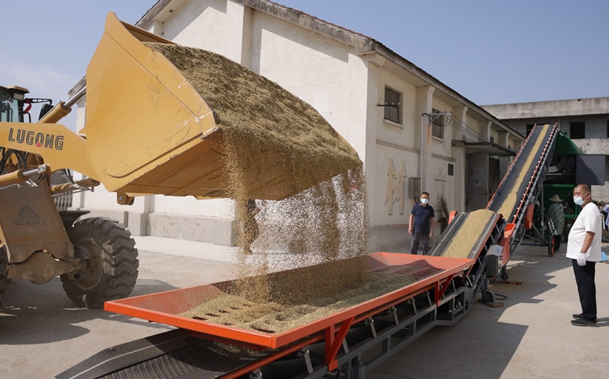 安微富硒产品(安徽富硒茶业有限公司)-硒宝网