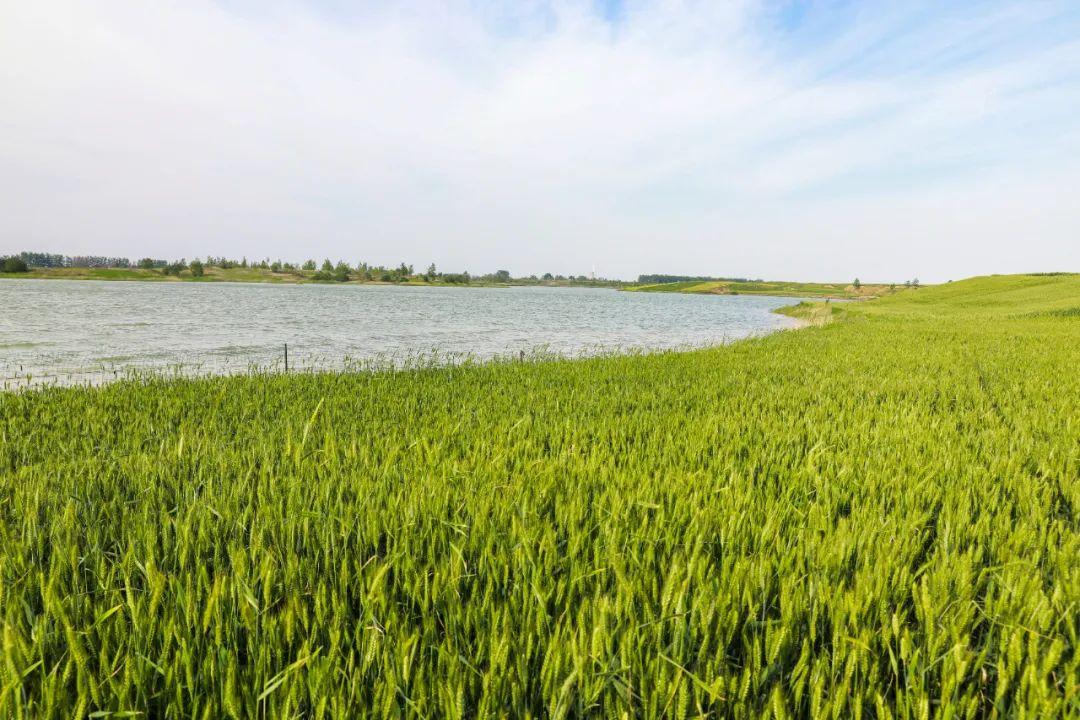 安微富硒产品(安徽富硒生态科技有限公司)-硒宝网