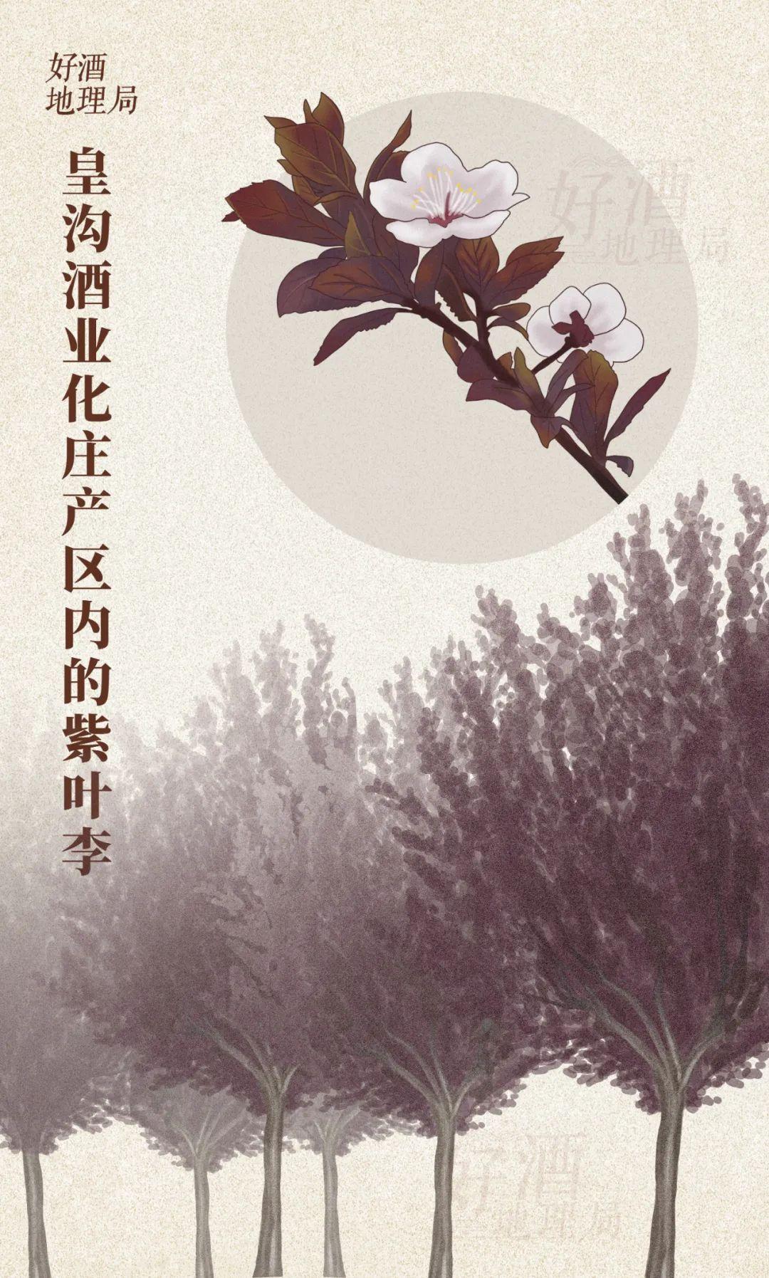 安微富硒产品(安徽富硒生态科技有限公司)-硒宝网