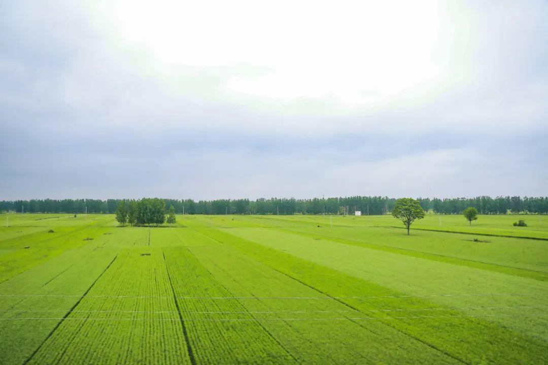 安微富硒产品(安徽富硒生态科技有限公司)-硒宝网