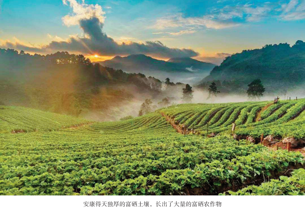 富硒产品入深(富硒产品)-硒宝网