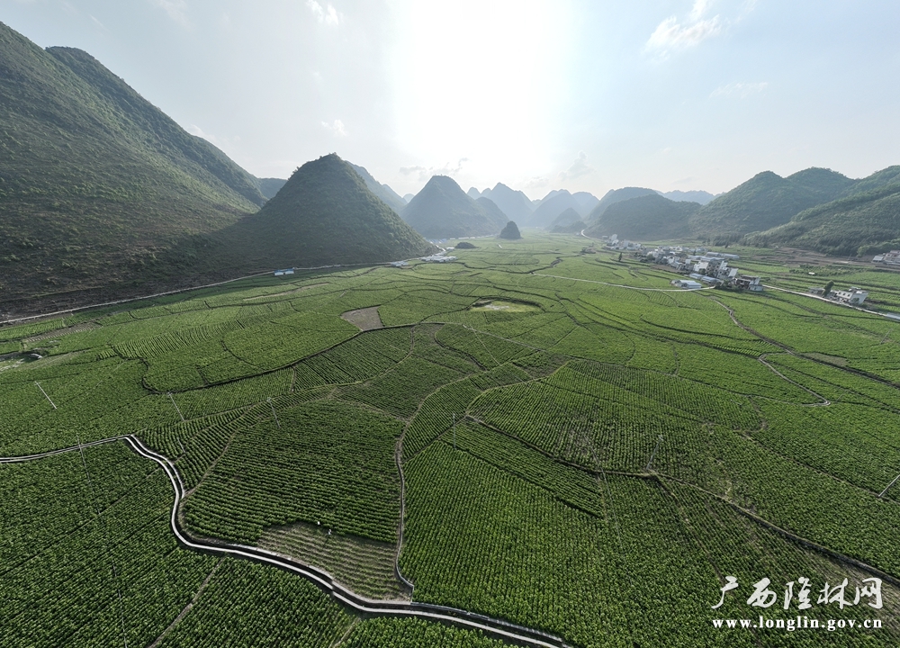 长华富硒产品(华硒生态)-硒宝网