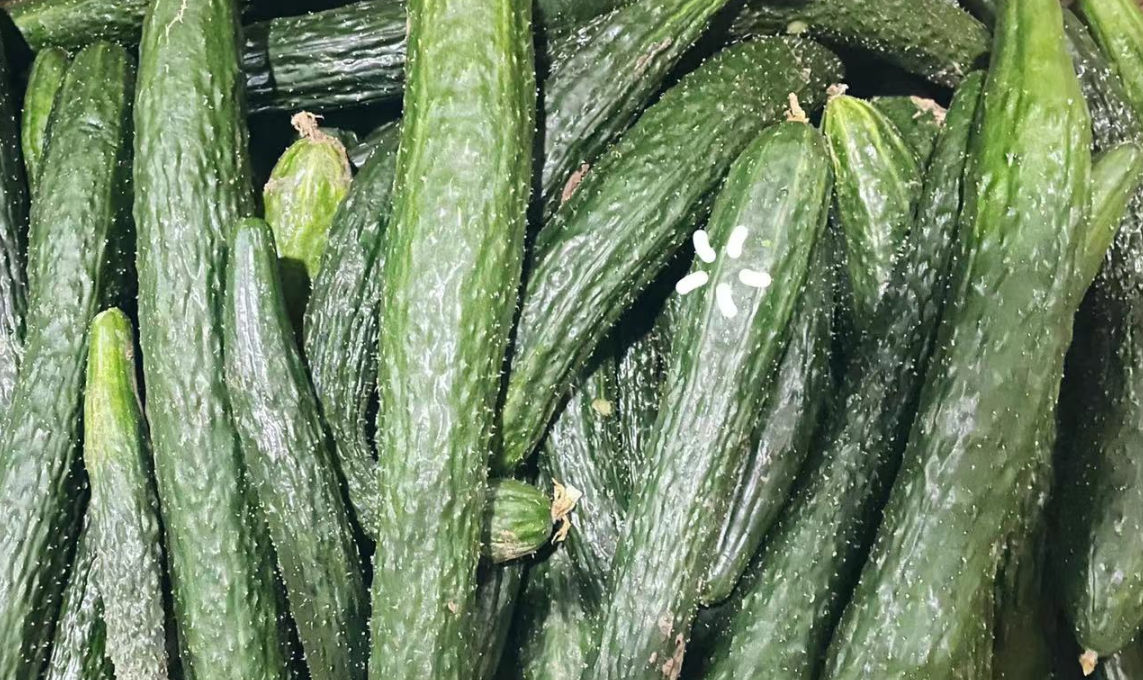 富硒产品品种(品种富硒产品有哪些)-硒宝网