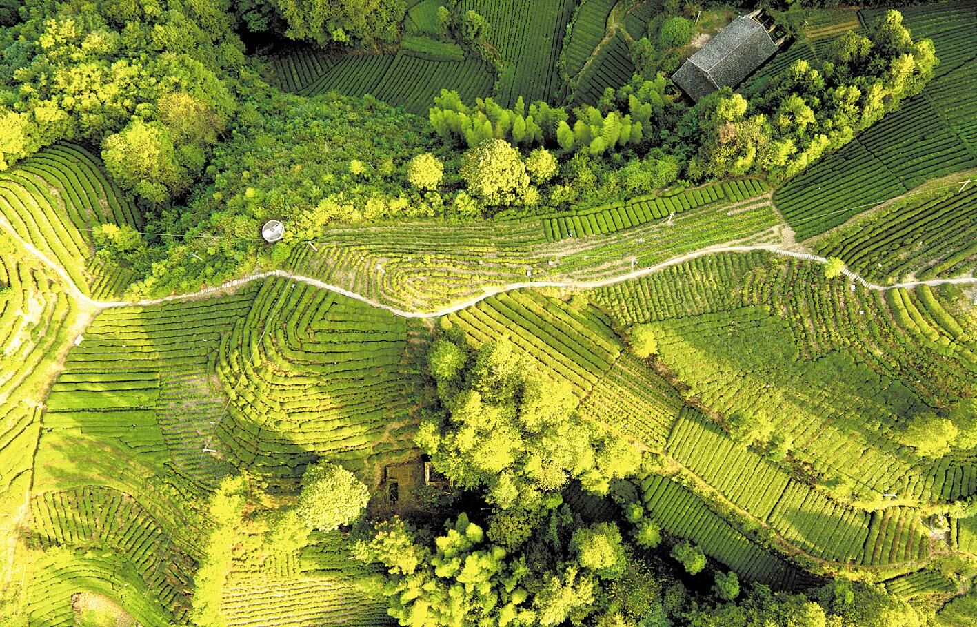 云州富硒产品（富硒产品云州哪里有卖）-硒宝网