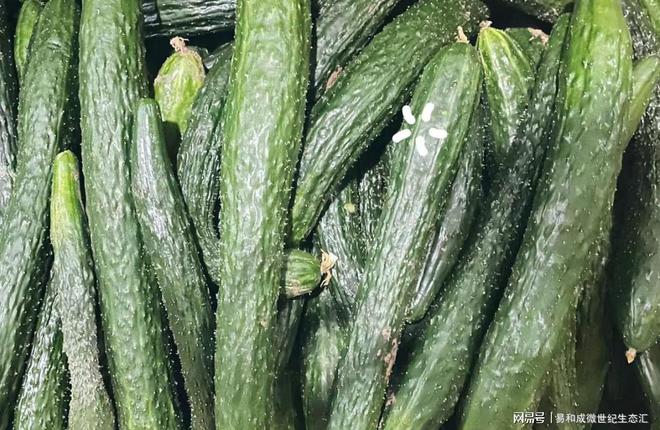 富硒果蔬产品（富硒蔬菜水果）-硒宝网