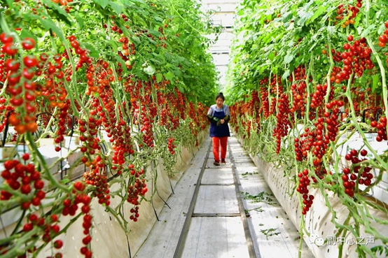 富硒产品产量（产量富硒产品是什么）-硒宝网