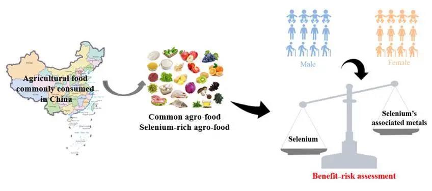 中志富硒产品（富硒系列产品）-硒宝网