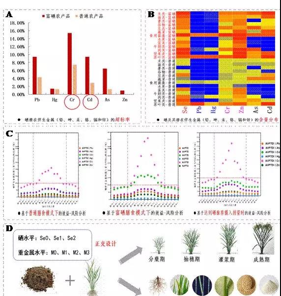中志富硒产品（富硒系列产品）-硒宝网