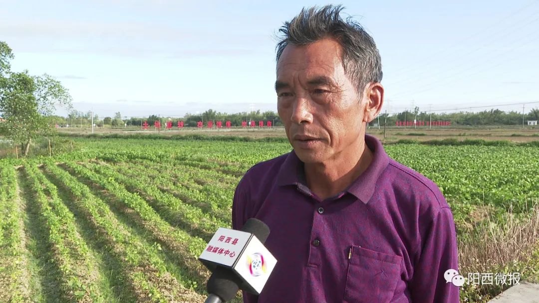 富硒土地产品(土地富硒产品是什么)-硒宝网