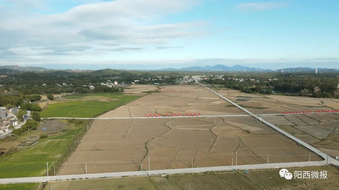 富硒土地产品(土地富硒产品是什么)-硒宝网