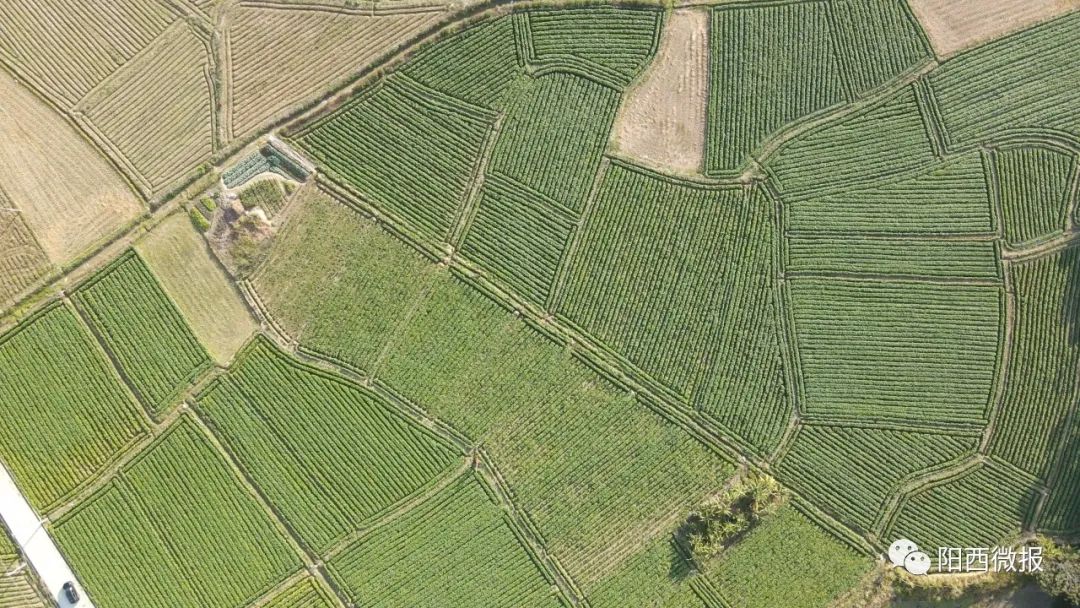 富硒土地产品(土地富硒产品是什么)-硒宝网