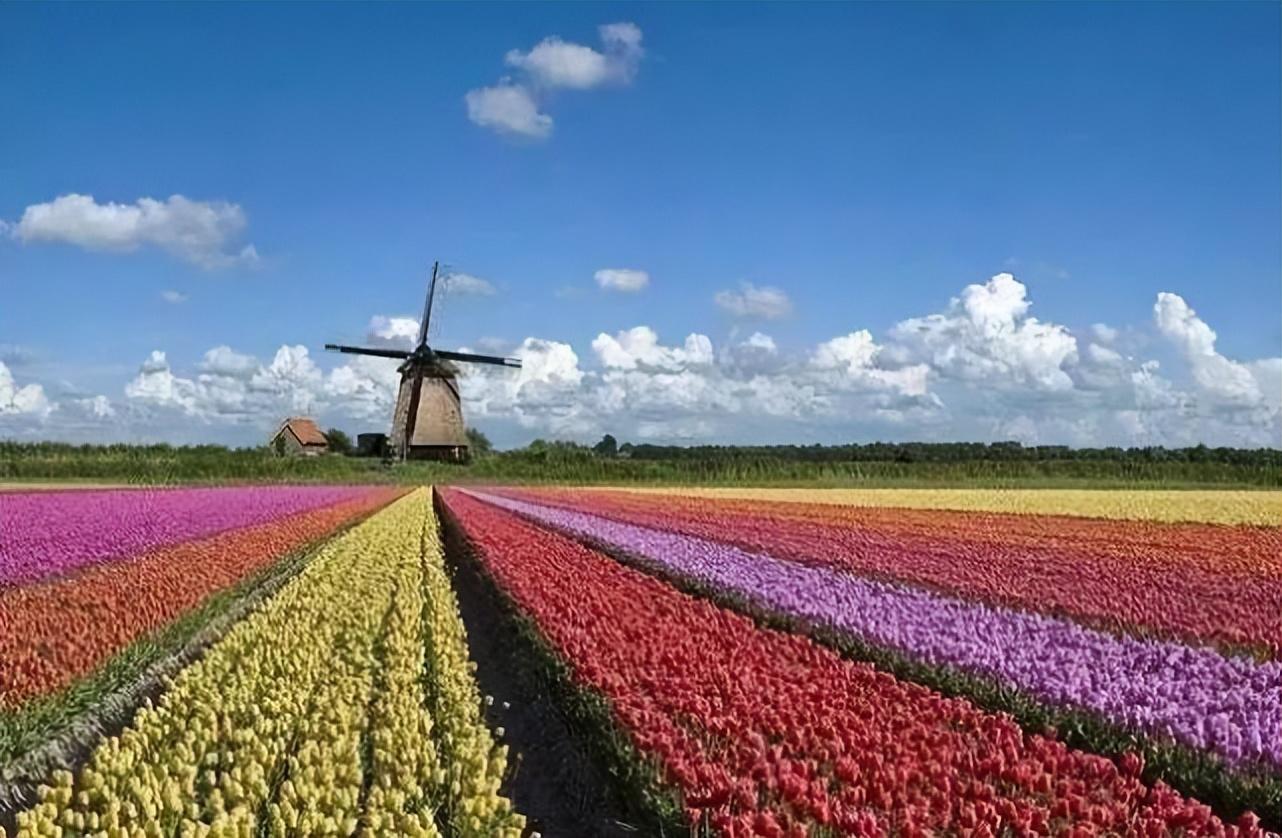 富硒肥的产品（富硒肥的价格和优势）-硒宝网