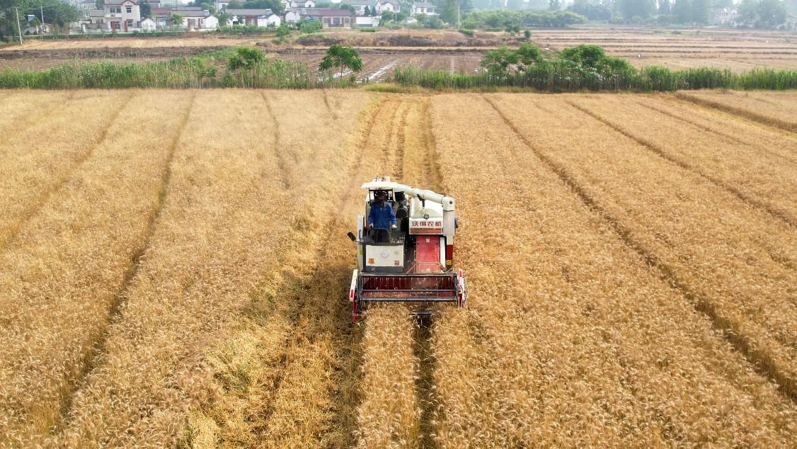 富硒产品贵吗（贵州富硒茶怎么样）-硒宝网