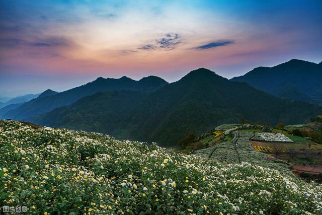 富硒肥的产品(富硒肥生产厂家)-硒宝网