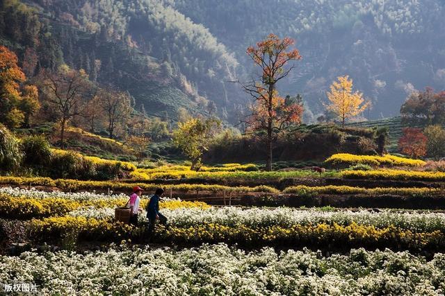 富硒肥的产品(富硒肥生产厂家)-硒宝网