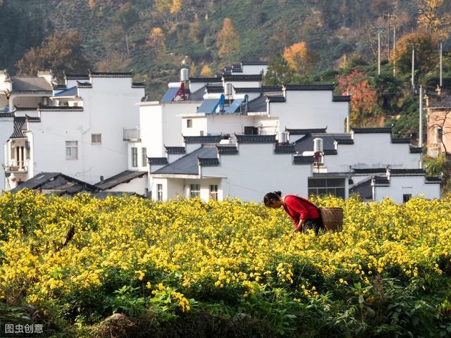 富硒肥的产品(富硒肥生产厂家)-硒宝网