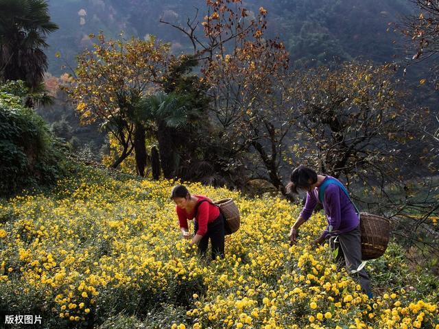 富硒肥的产品(富硒肥生产厂家)-硒宝网
