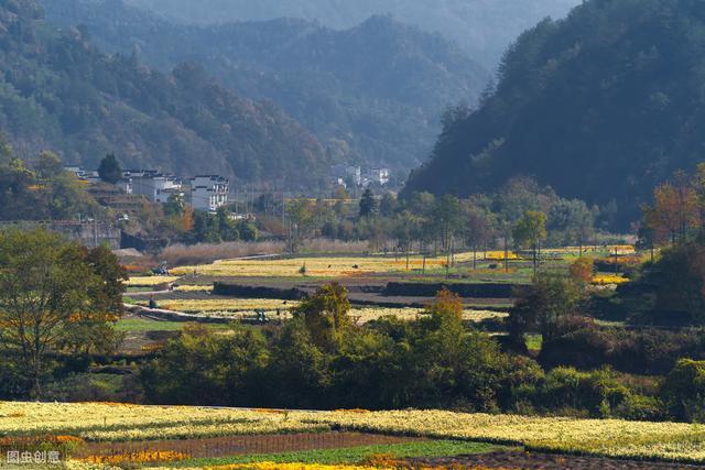 富硒肥的产品(富硒肥生产厂家)-硒宝网