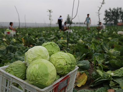 富硒盛农产品（农盛富硒产品图片大全）-硒宝网