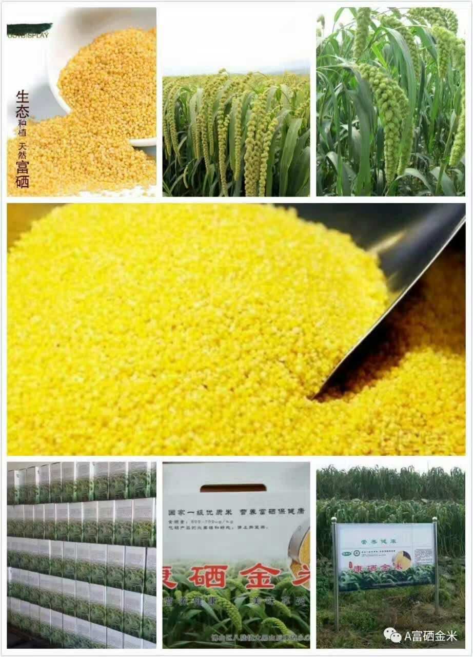 富硒哥农产品（富硒农业）-硒宝网