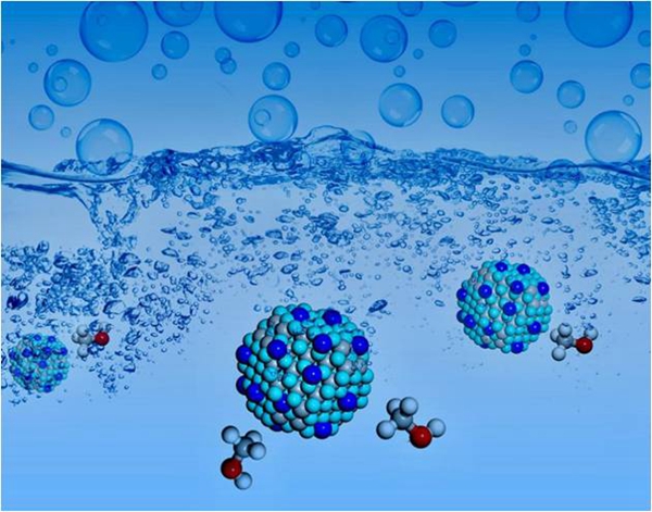 恩富硒农产品（农用富硒）-硒宝网