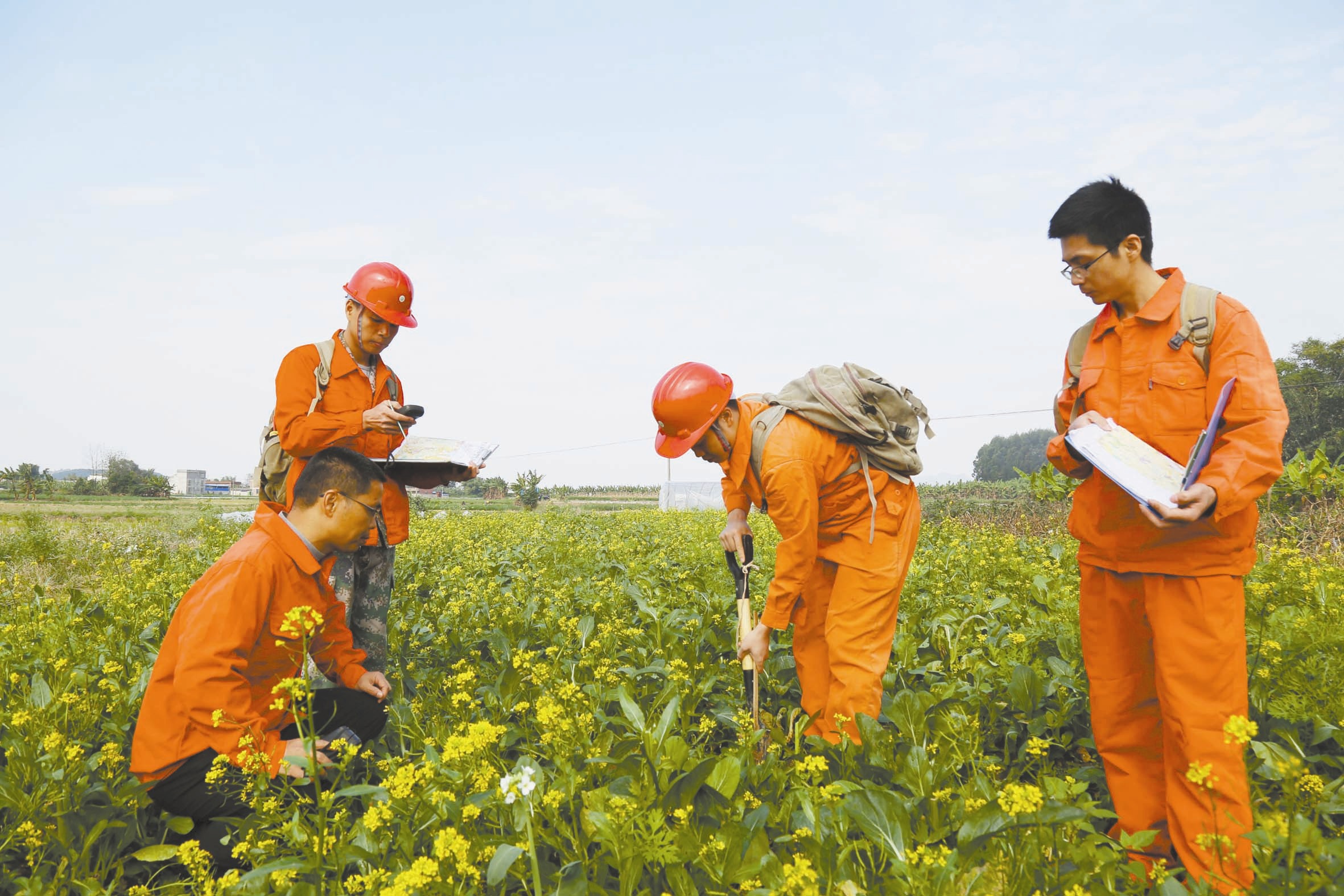 富硒土地产品(富硒土壤特点)-硒宝网