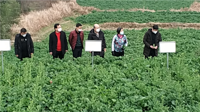 富硒产品检验(检验富硒产品的目的)-硒宝网