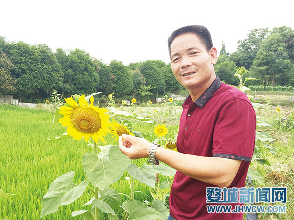 富硒盛农产品（农盛富硒产品有哪些）-硒宝网