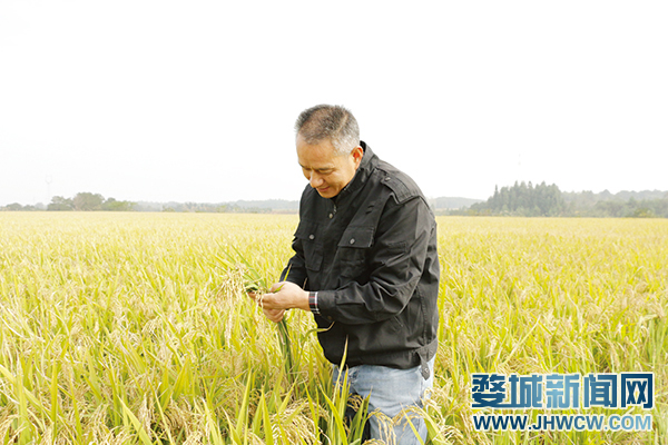 富硒盛农产品（农盛富硒产品有哪些）-硒宝网