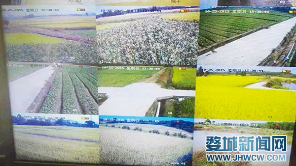 富硒盛农产品（农盛富硒产品有哪些）-硒宝网