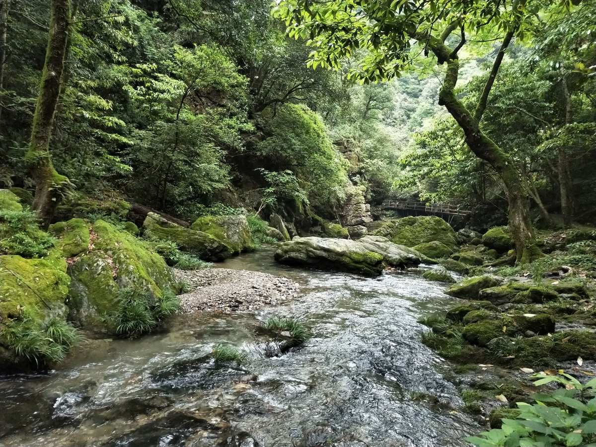 农产品富硒土(富硒农业)-硒宝网