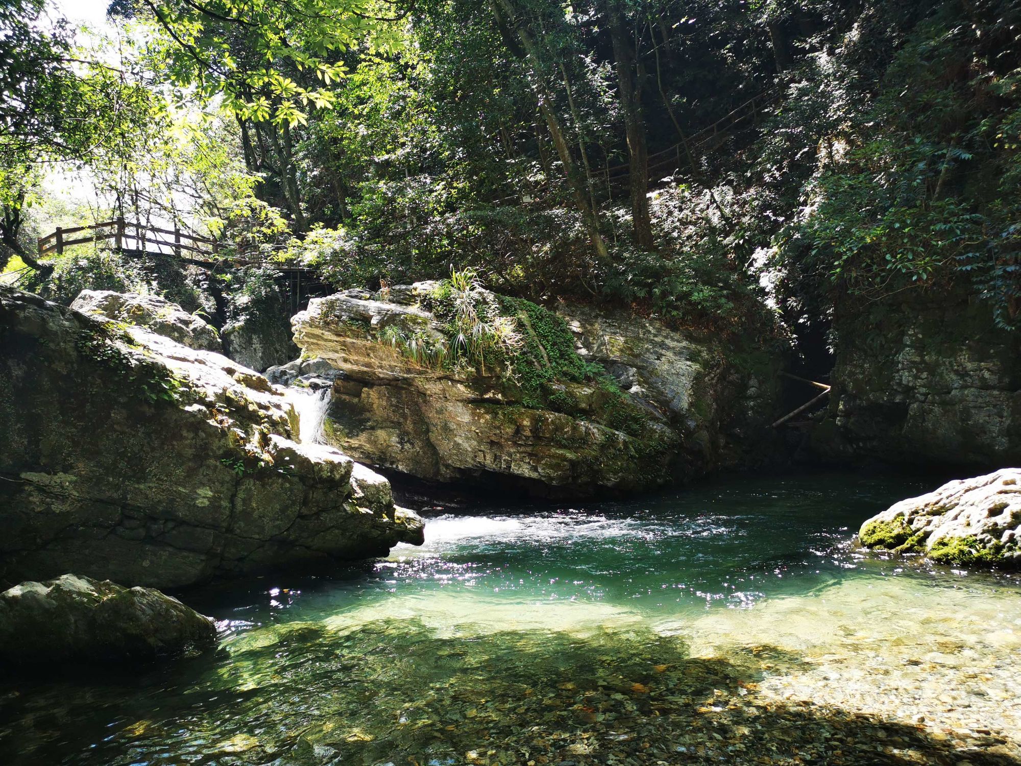 农产品富硒土(富硒农业)-硒宝网